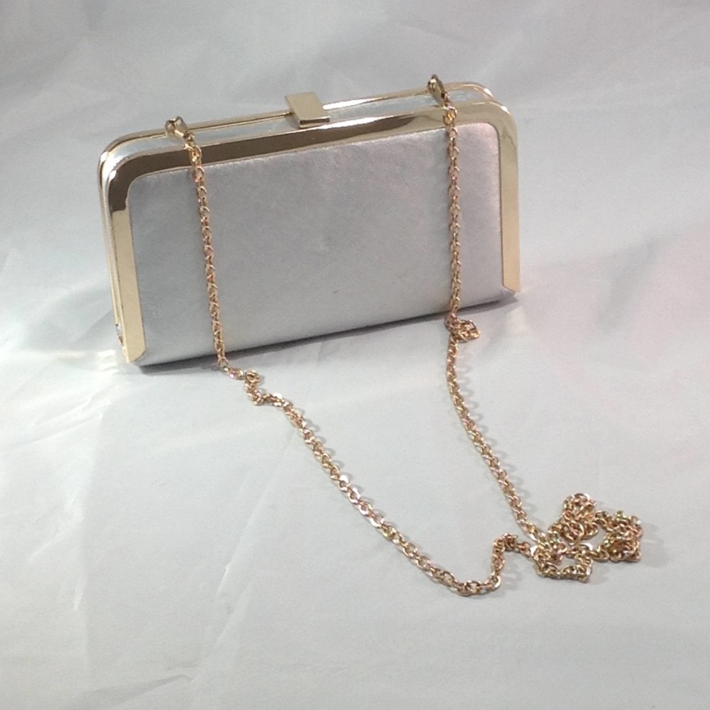 Silver Gold trim Rectangle Clutch by Francesca's